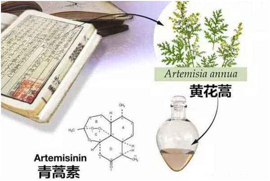 nba竞猜,搜狗百科：向中医药看齐，与世界共享中医药文化(图1)